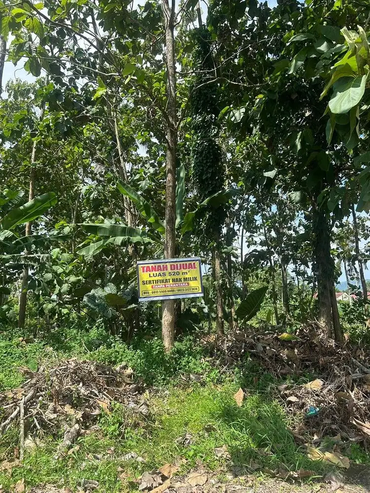 Tanah Strategis dekat Alun-Alun Pacitan