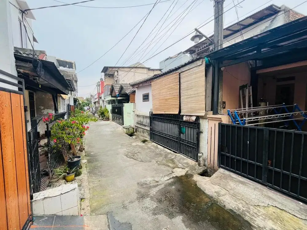 Rumah Disewakan Cepat