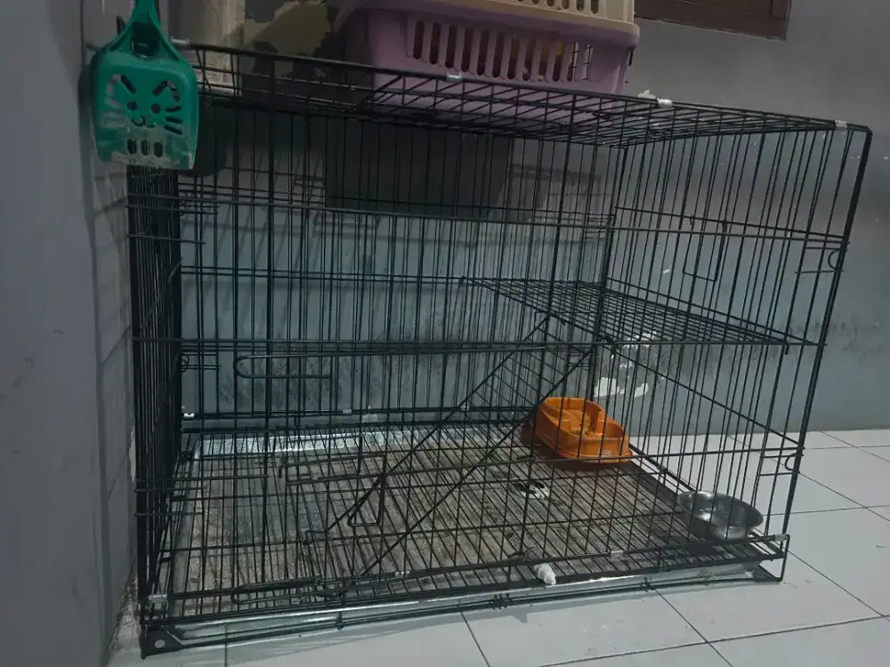 Kandang kucing jumbo + kontainer box