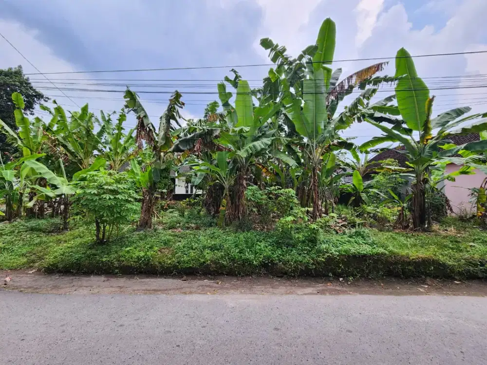 Tanah Minomartani 3 Jt-an Dekat Tiyasan Condongcatur
