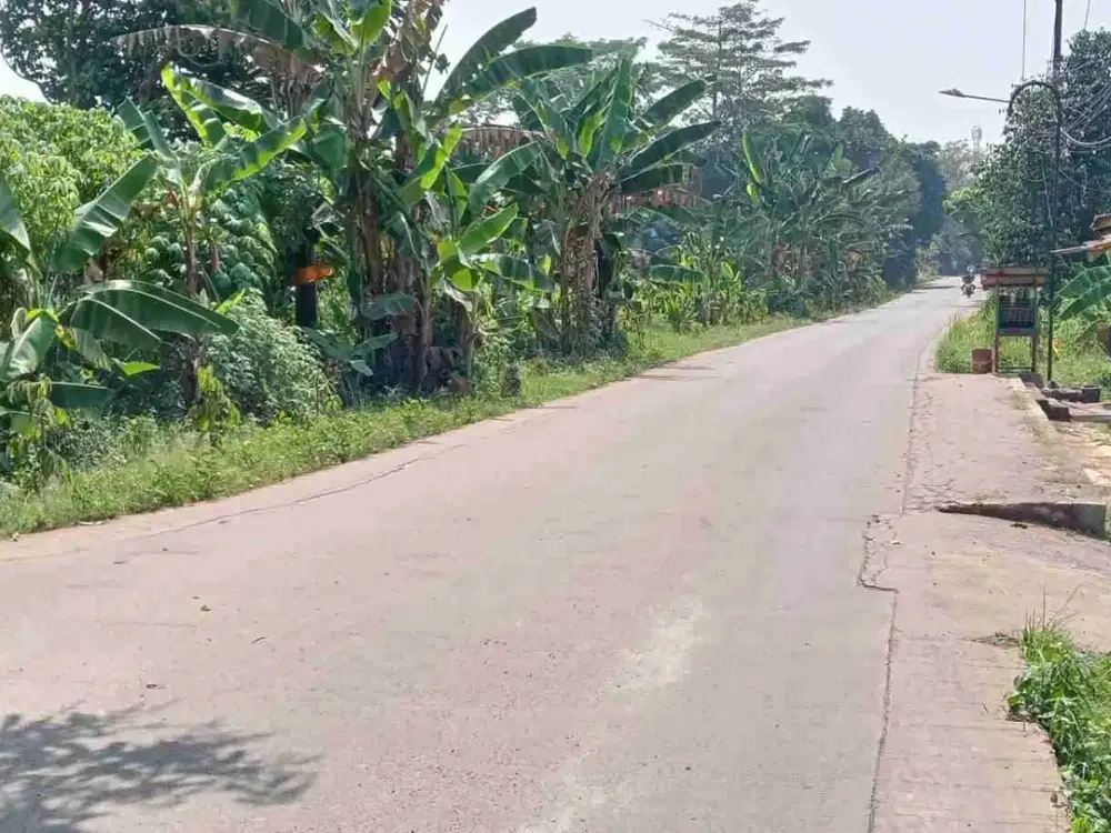 Tanah 1,3ha Tamansari Setu dekat tol Burangkeng kab bekasi