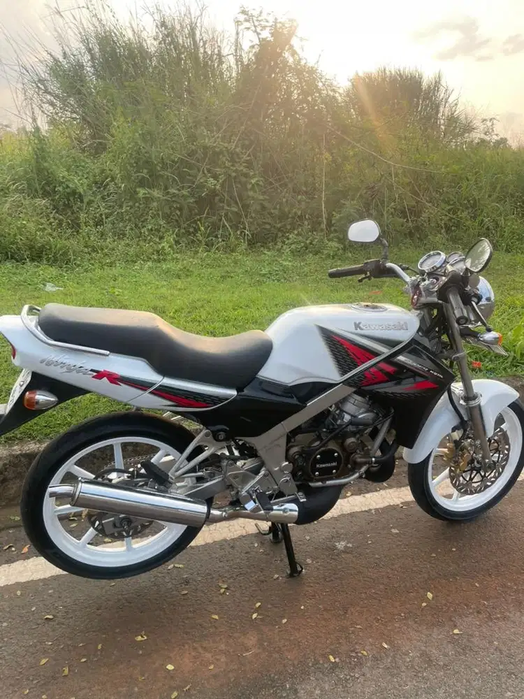 NINJA R convert ss Putih Albino
