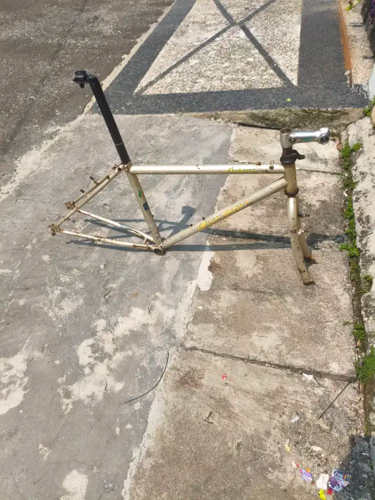 Kuwahara avanto tange prestige