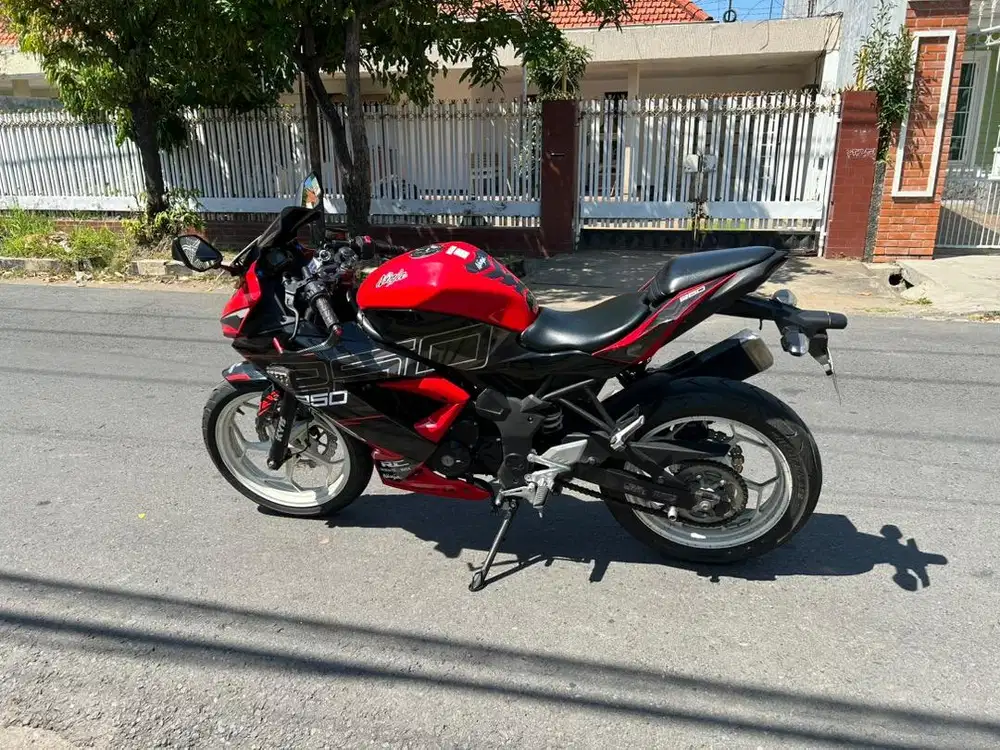 Kawasaki Ninja Mono SL 250CC