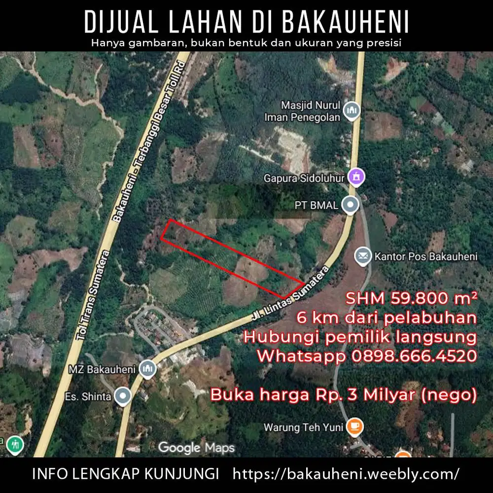 DIJUAL Tanah kebun 6 hektar di Desa Hatta, Bakauheni Lampung Selatan