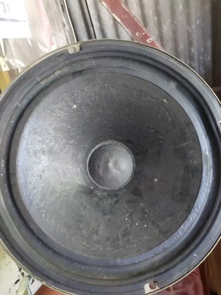 Speaker goodmans 8in