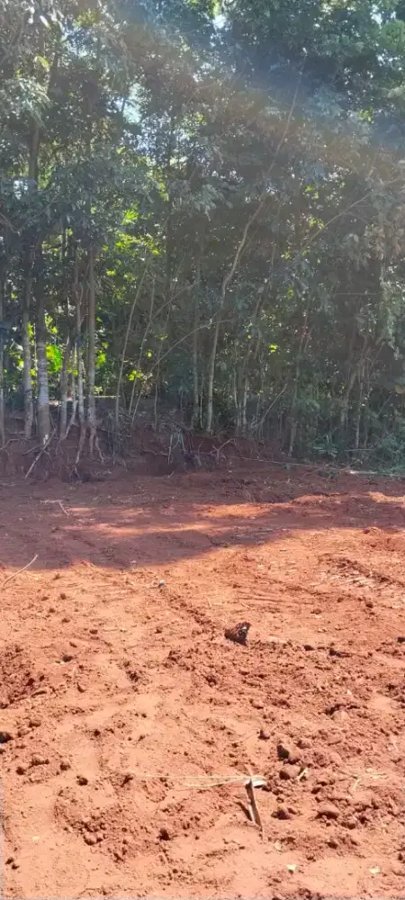 Tanah Murah Pakintelan Gunungpati Semarang