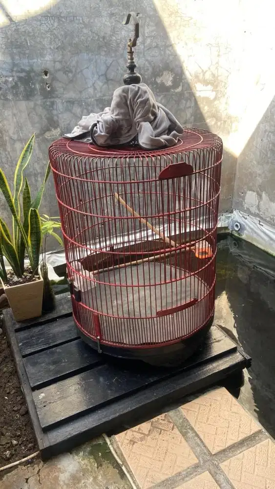 kandang murai no 1 dan no 3