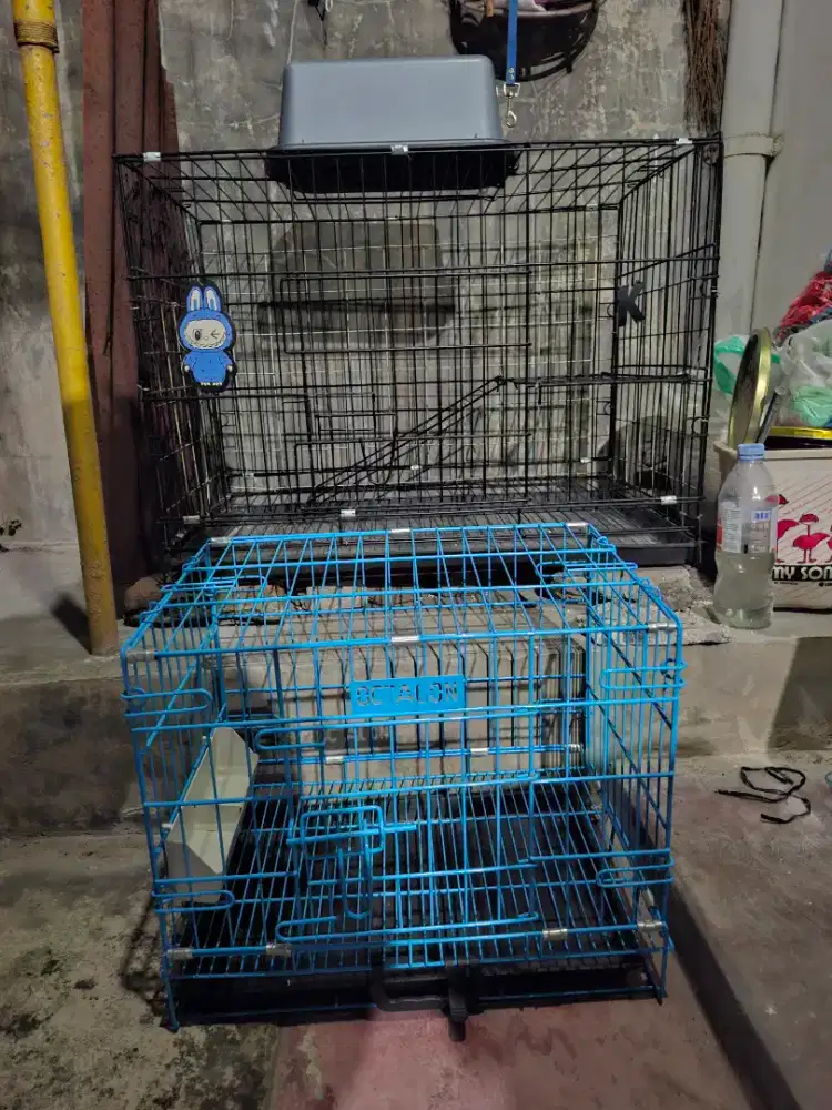 Dijual kandang kucinh dan peralatannya
