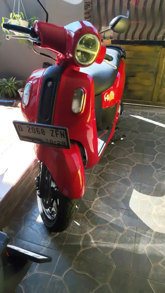 Dijual fazzio tahun 2023