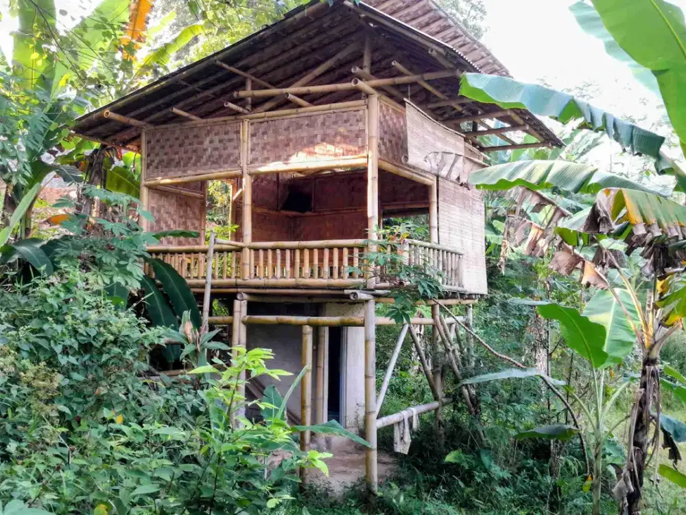 Tanah Kebun Buah Produktif