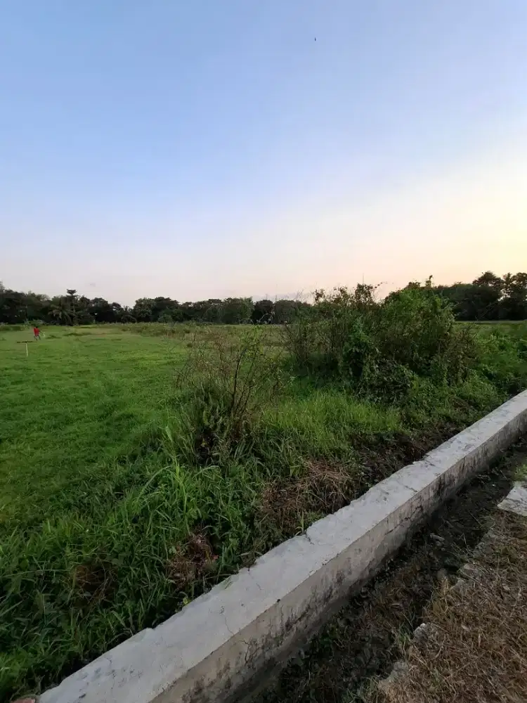 Jual sawah pinggir jalan