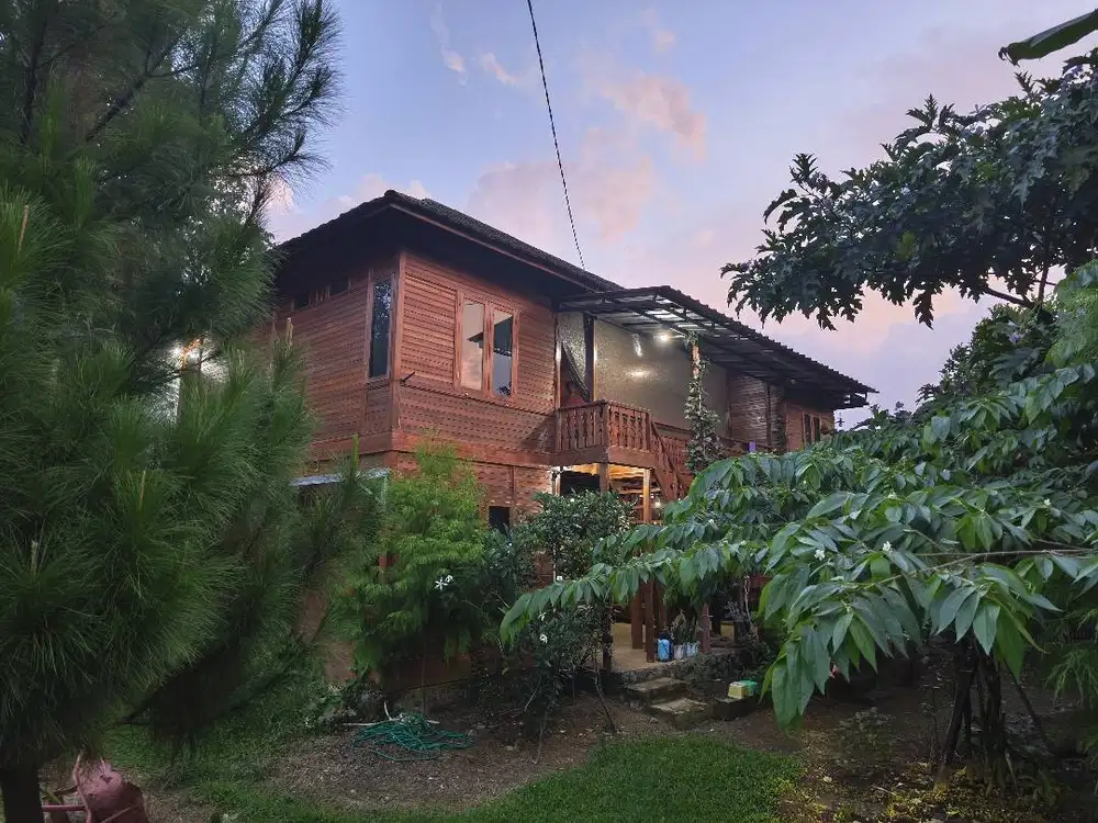 Dijual, Rumah Kayu