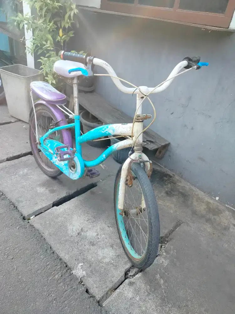 SEPEDA ANAK FAMILY RING 20 MANTAP