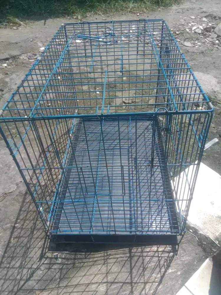 Kandang kucing besar