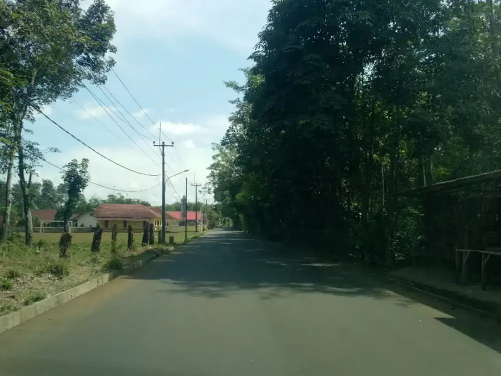 5 Menit Pasar Gobang Tanah Kavling Bogor Free SHM