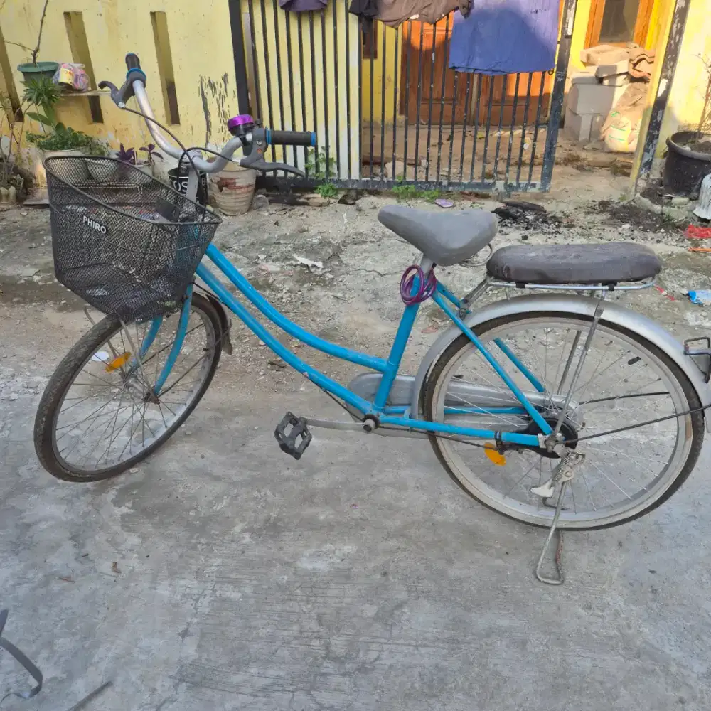 Sepeda Keranjang 24 Inchi