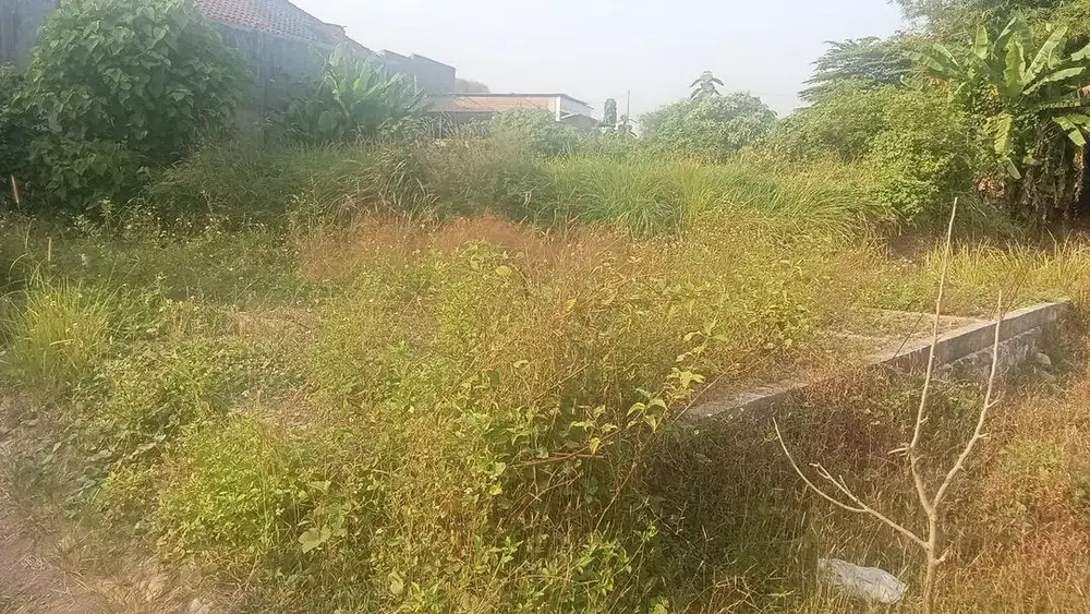 Jual tanah di Jalan Baru
