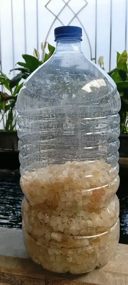 Media Filter Aquarium