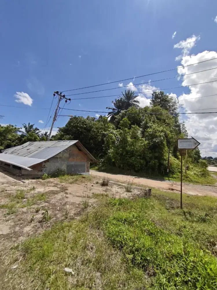 DIJUAL CEPAT‼️ TANAH SHM 8000m² 80X100M 2KM STADION SUMBAR LUBUK ALUNG