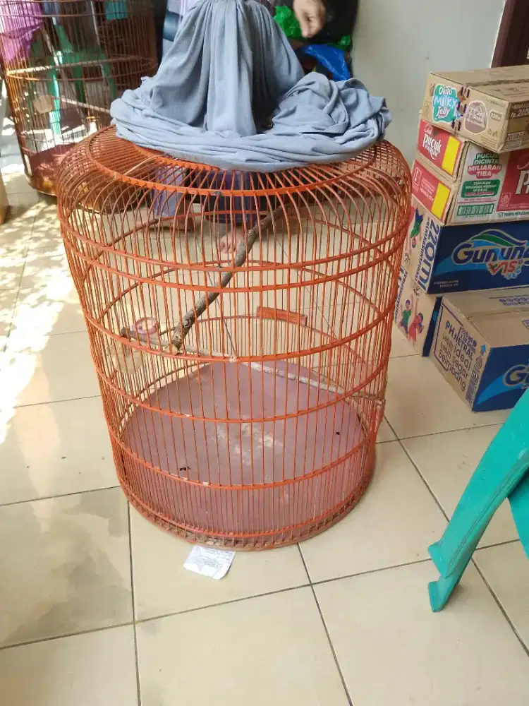 Kandang burung murai