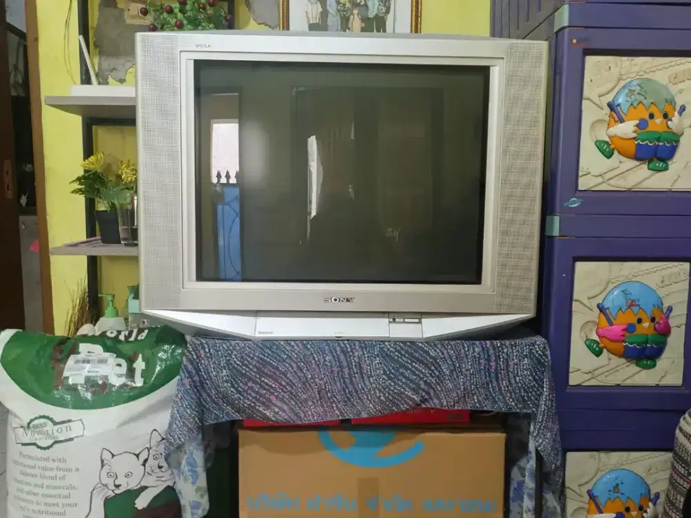 Tv Tabung Sony Normal