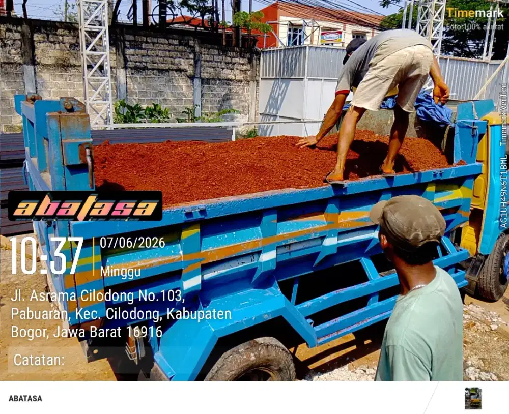 JASA BUANG PUING DEPOK DAN JABODETABEK