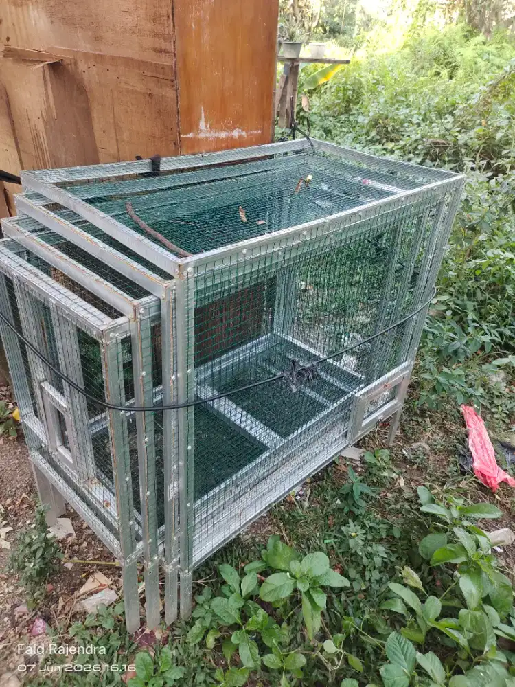Kandang umbaran 4 meter