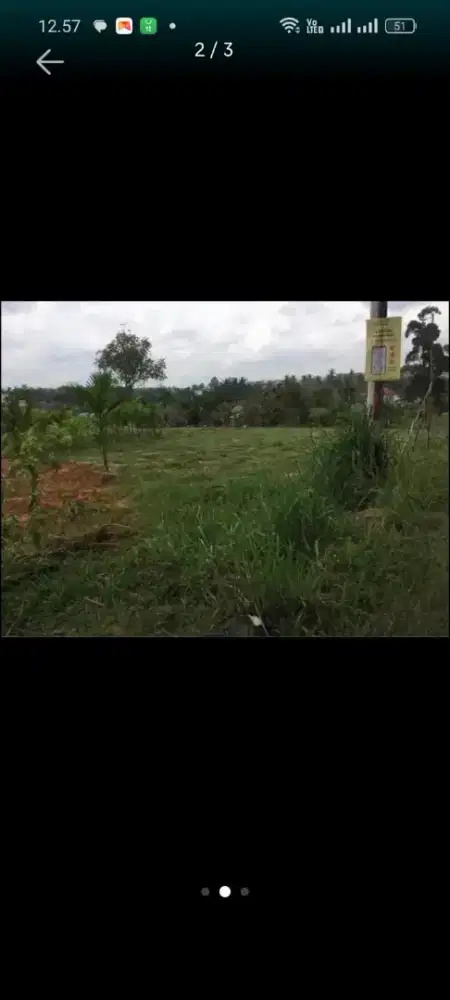 Tanah di tengah kota jambi
