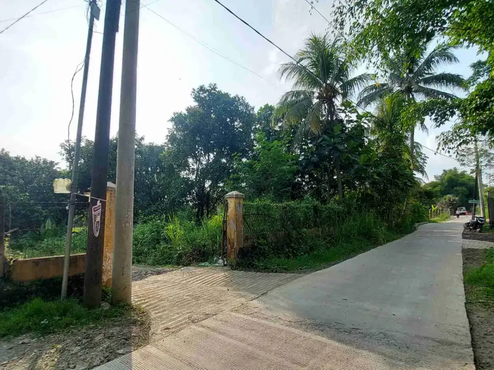 kebun dan empang view bukit cocok berkebun dan ternak akses tol