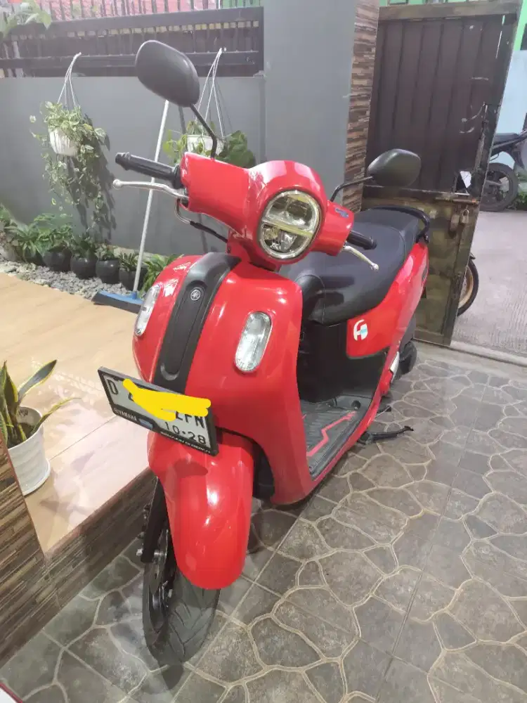 Dijual fazzio tahun 2023
