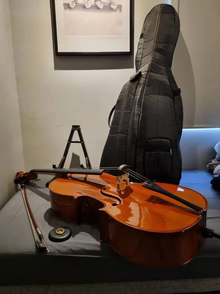 Cello Pearl River, Model 030, Size 4/4 + Acc