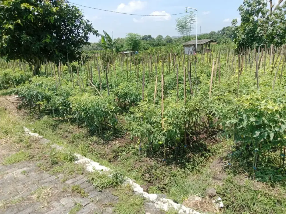 jual tanah jatimpark 3