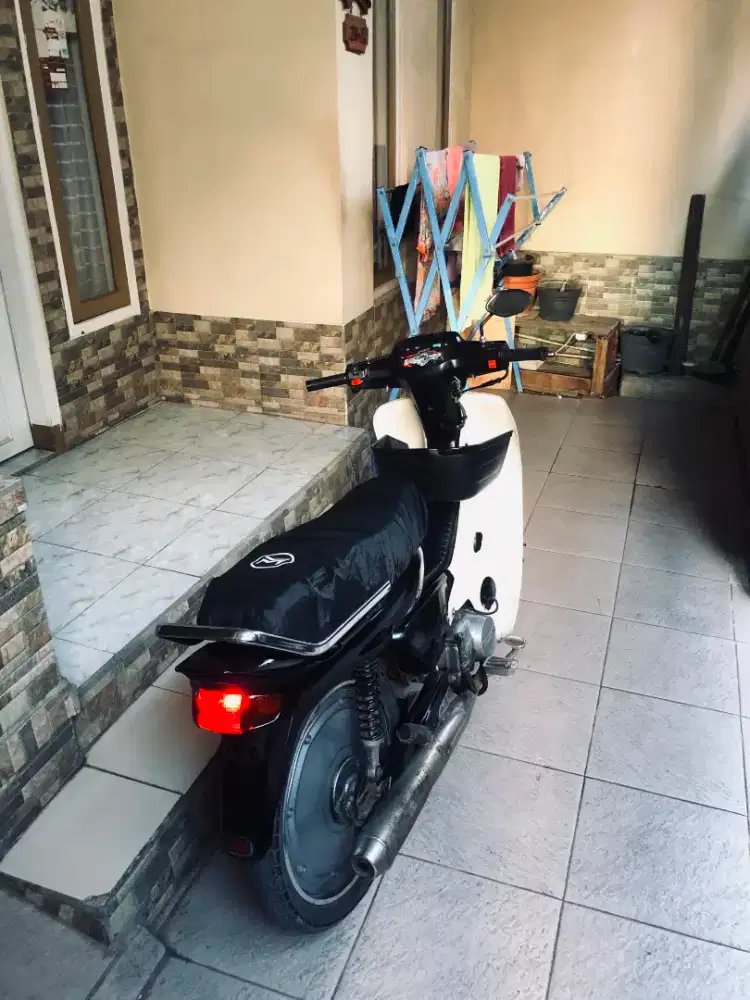 astrea bulus 1991
