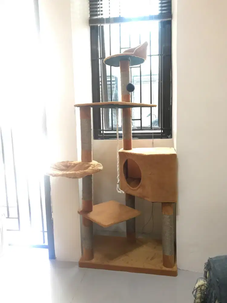 Rumah kucing / cat condo