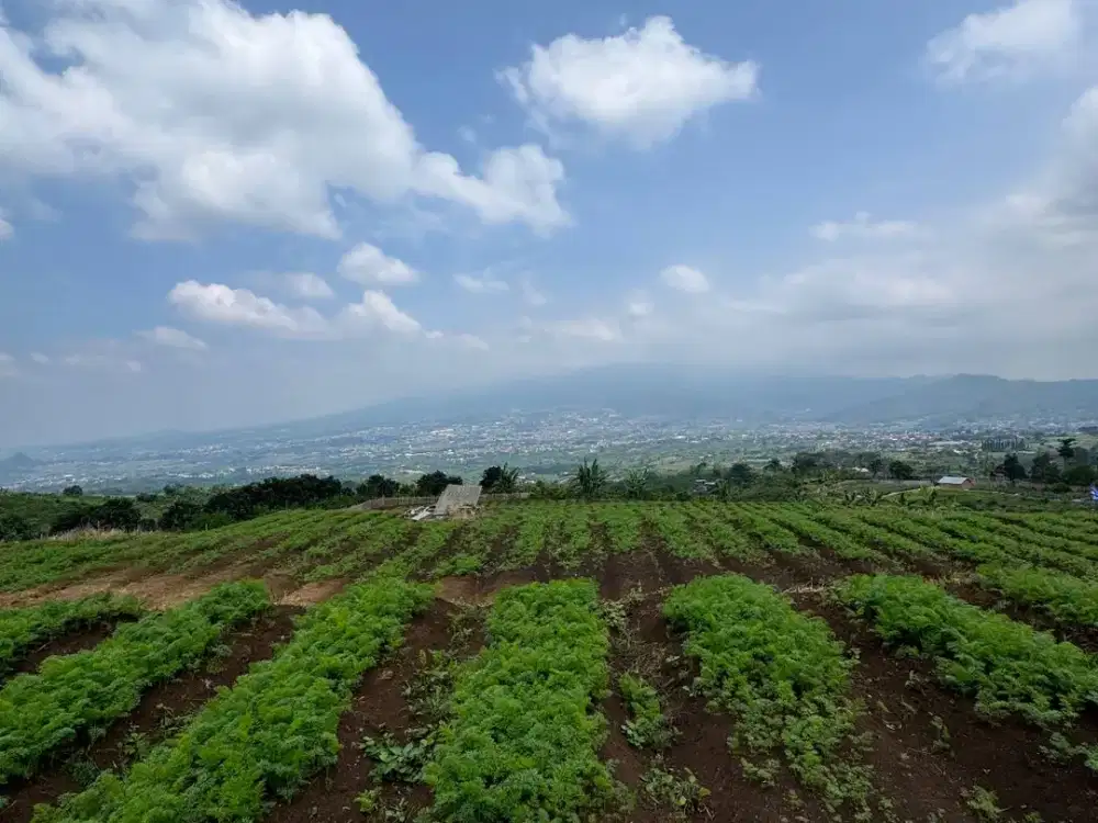 Di jual Tanah Puncak Kota Batu View Full Kota — Cocok Buat Cafe & Villa maupun Investasi jangka panjang