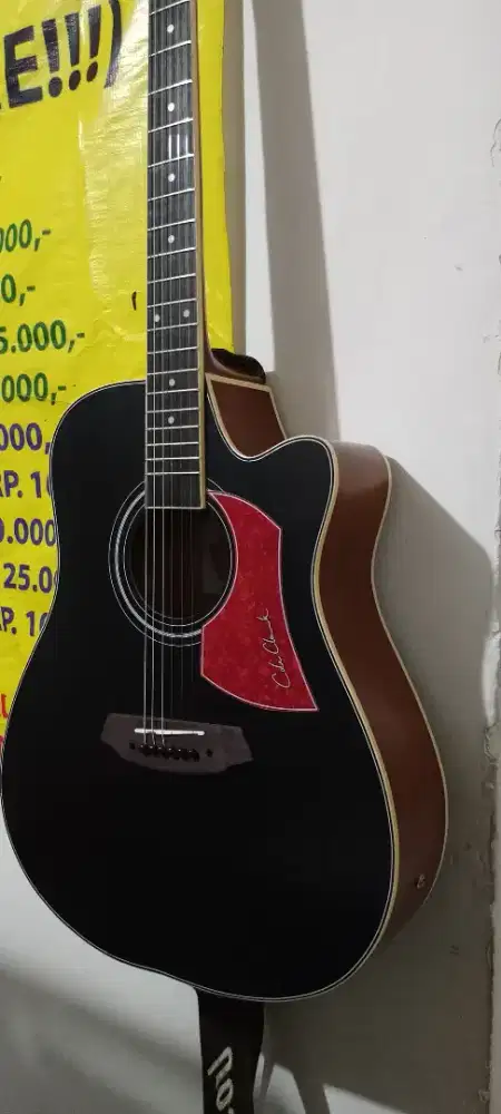 Akustik Elektrik Gitar Cole Clark lokal premium