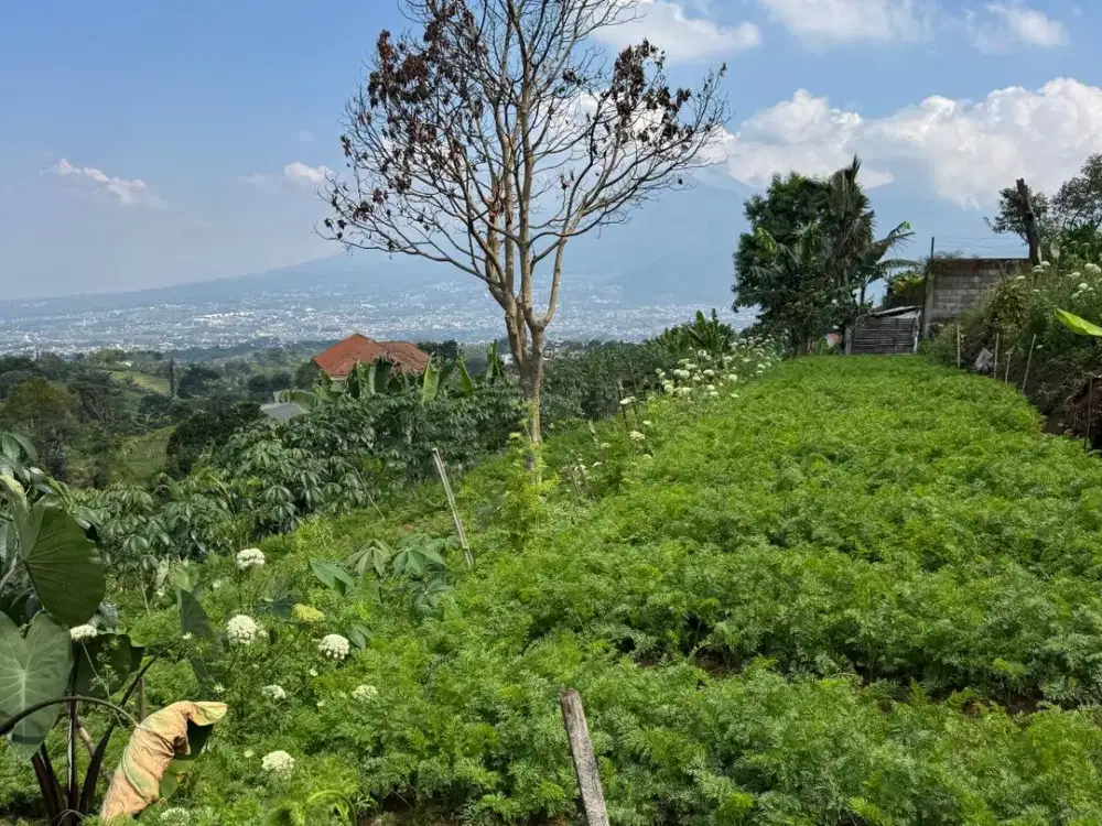 Di jual tanah view bagus cocok buat Villa  Infinity Pooll, maupun di buat investasi jangka panjang