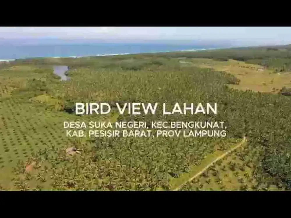 DIJUAL CEPAT MURAH TANAH BENGKUNAT, LAMPUNG