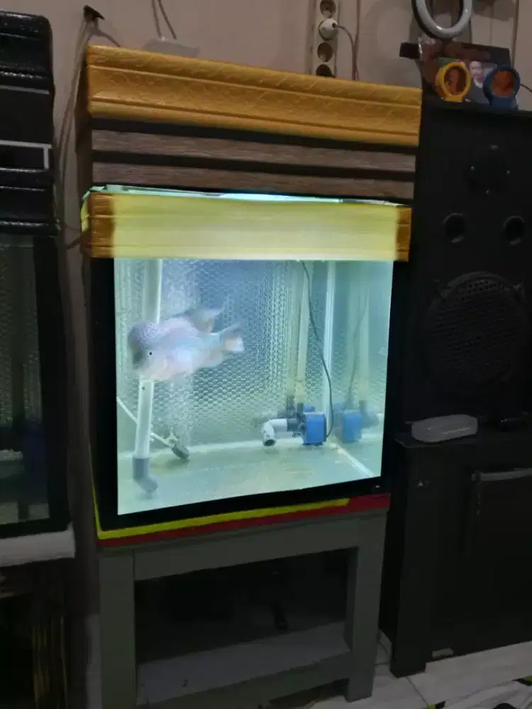 aquarium 1 set lengkap