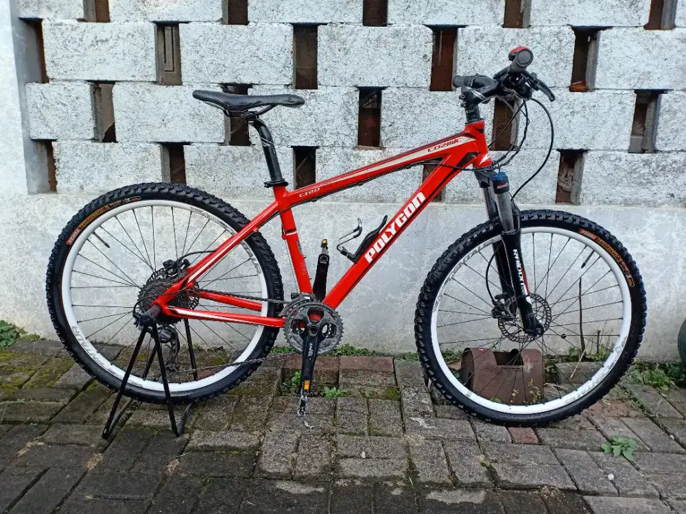 Sepeda Polygon Cozmic CX 2.0