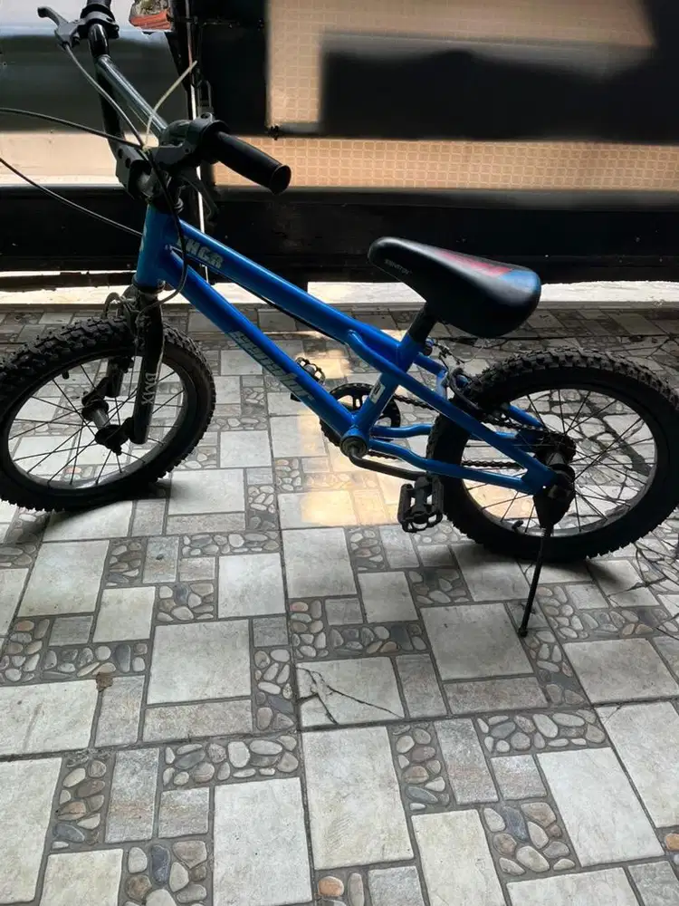 Sepeda anak second