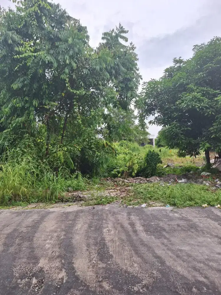 Dijual tanah jl duyung (persis belakang RAF futsal) LT 614m2,PEKANBARU