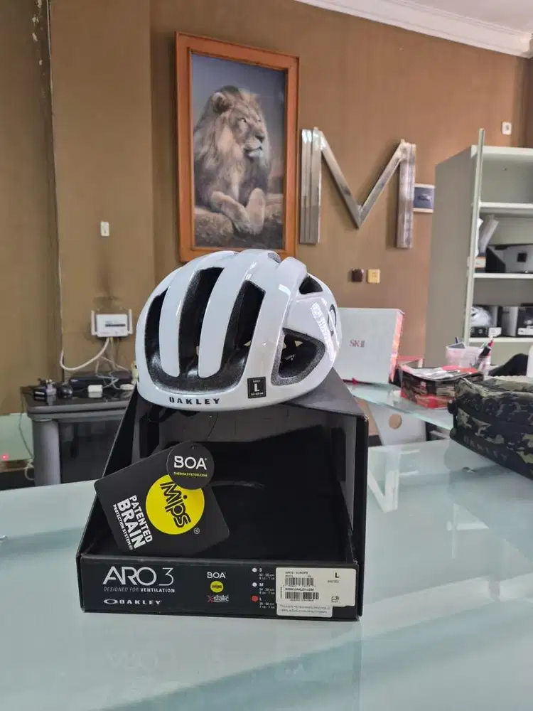 Helm Oakley ARO 3 Europe