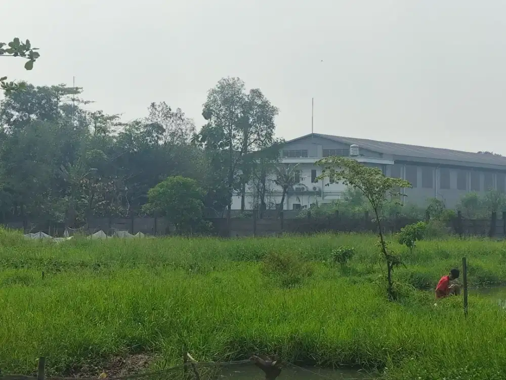 Dijual tanah 2.6hektar pinggir jalan raya