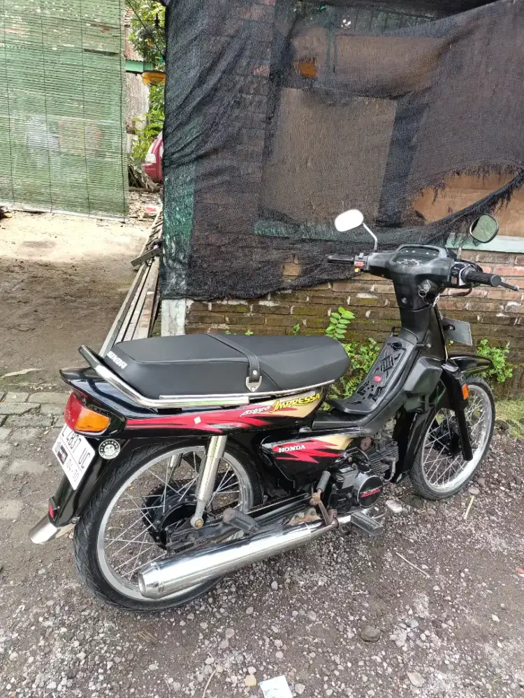 Astrea impressa
