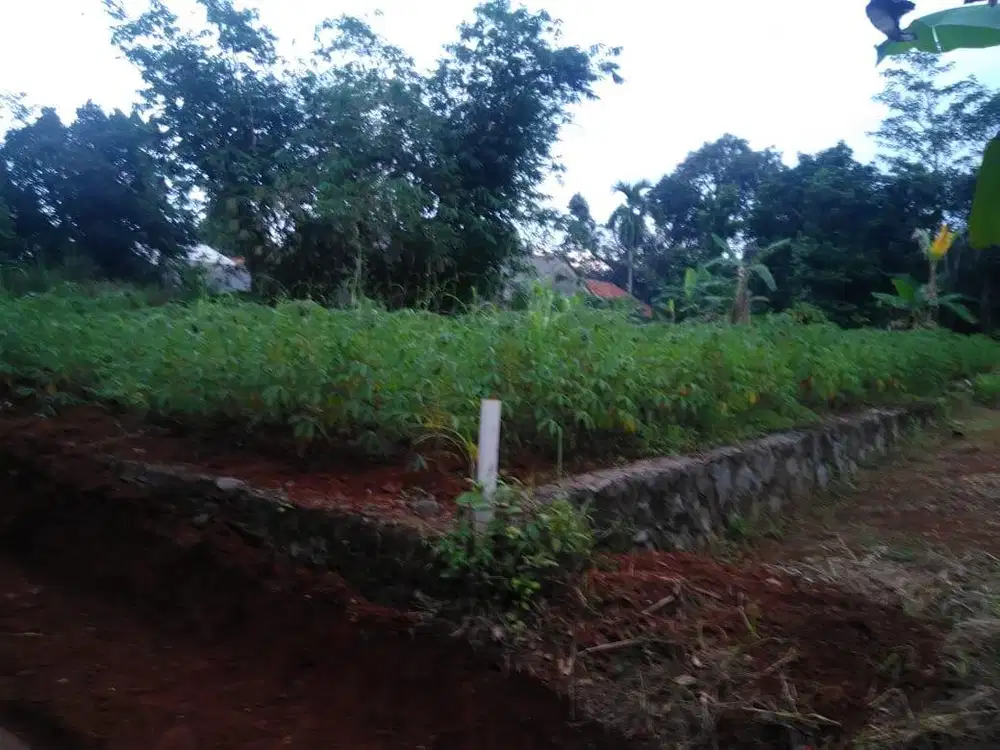 Di Jual Tanah SHM
