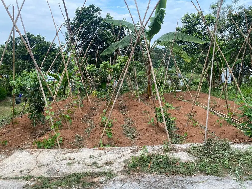 DI JUAL CEPAT KAVLING SHM PATEMON GUNUNG PATI