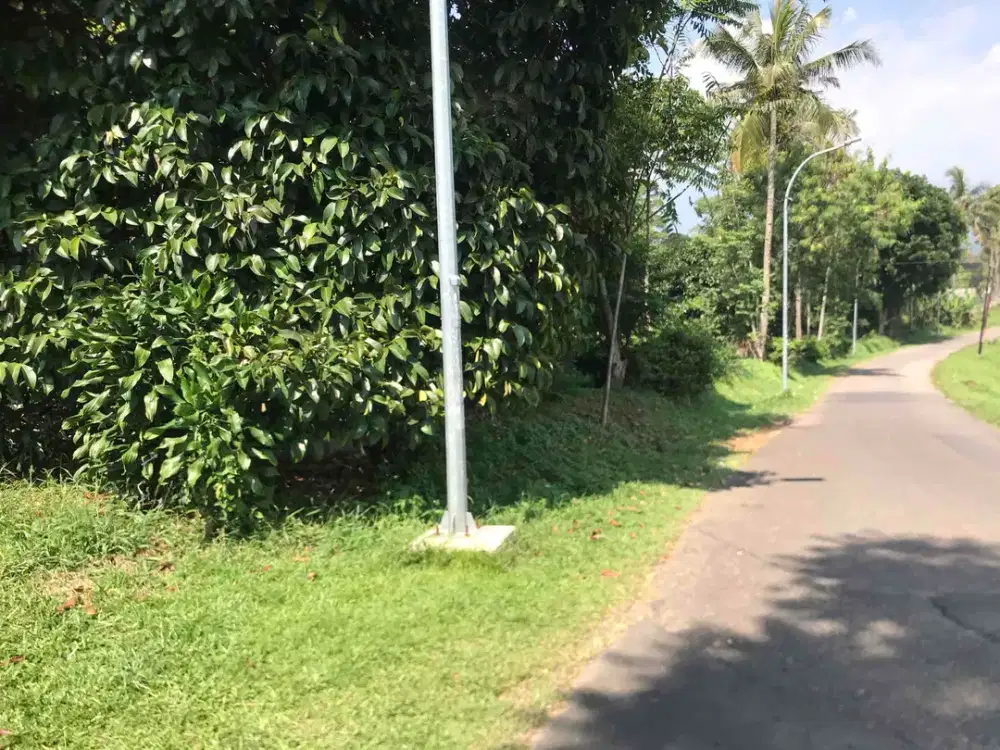 Di Jual Kebun Produktif,Pinggir Jln utama