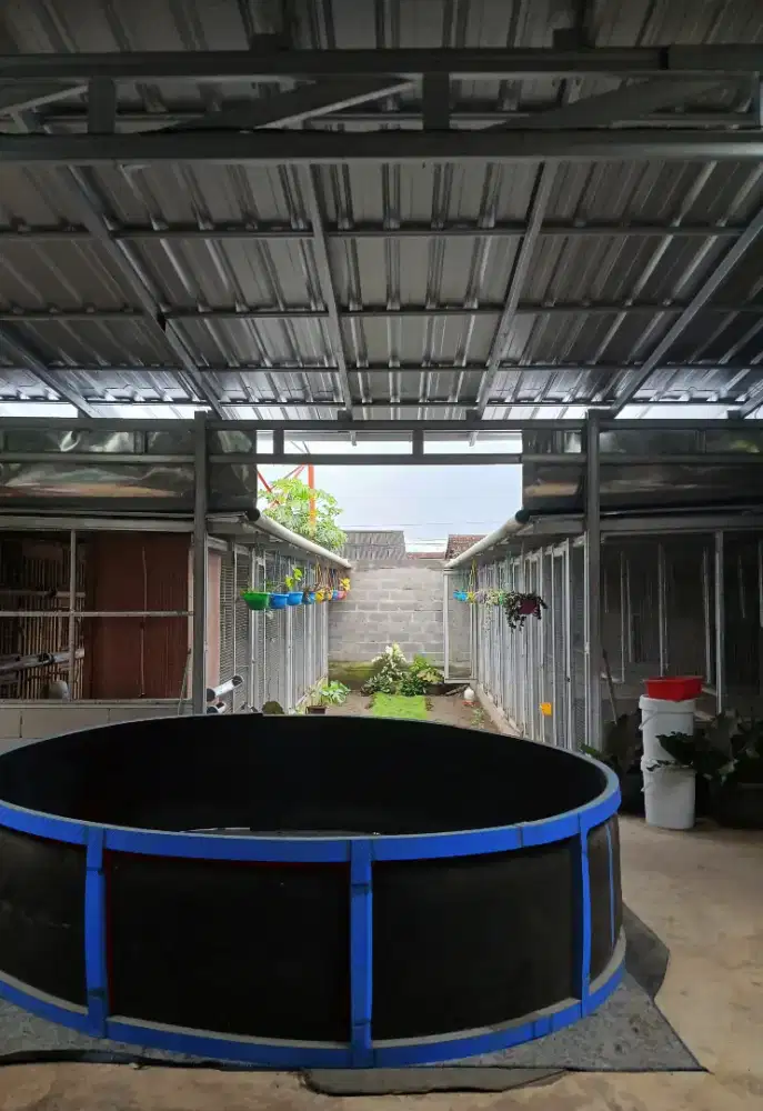 Dibutuhkan anak kandang+tukang kebun